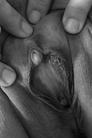 Christy Black Skirt at AllOver30 Free